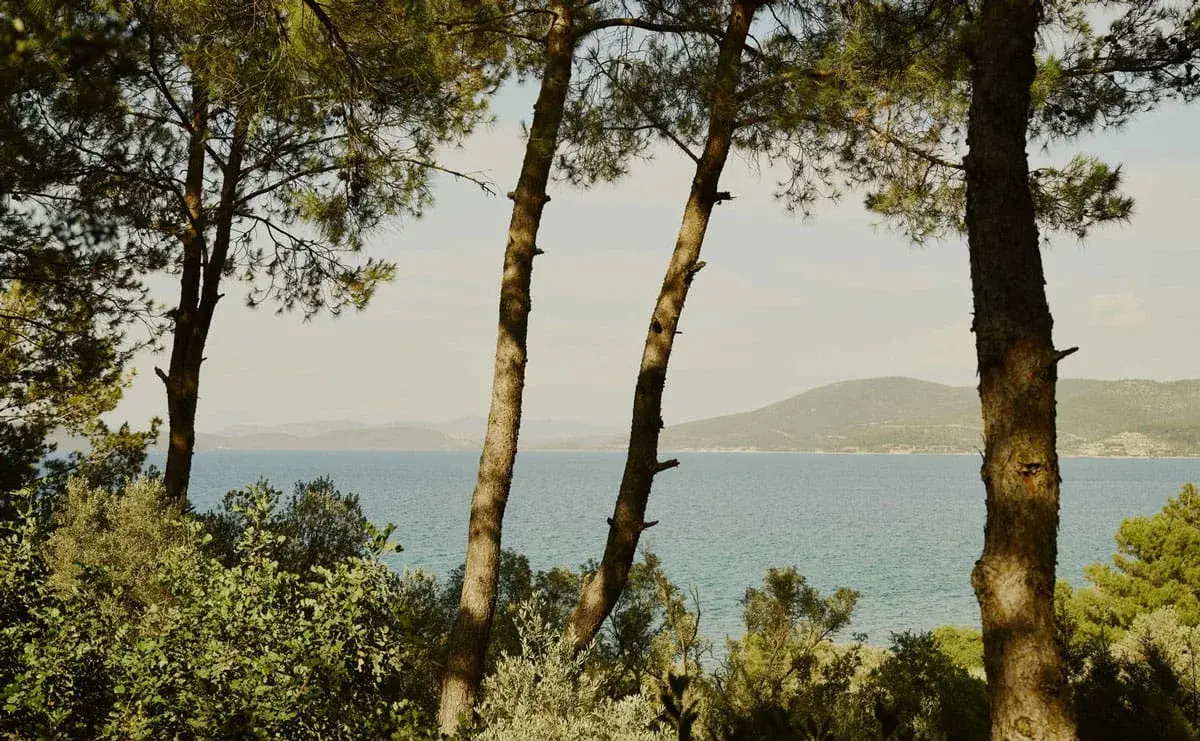 Pool Pavilion Deluxe Sea View Amanruya Bodrum — 5