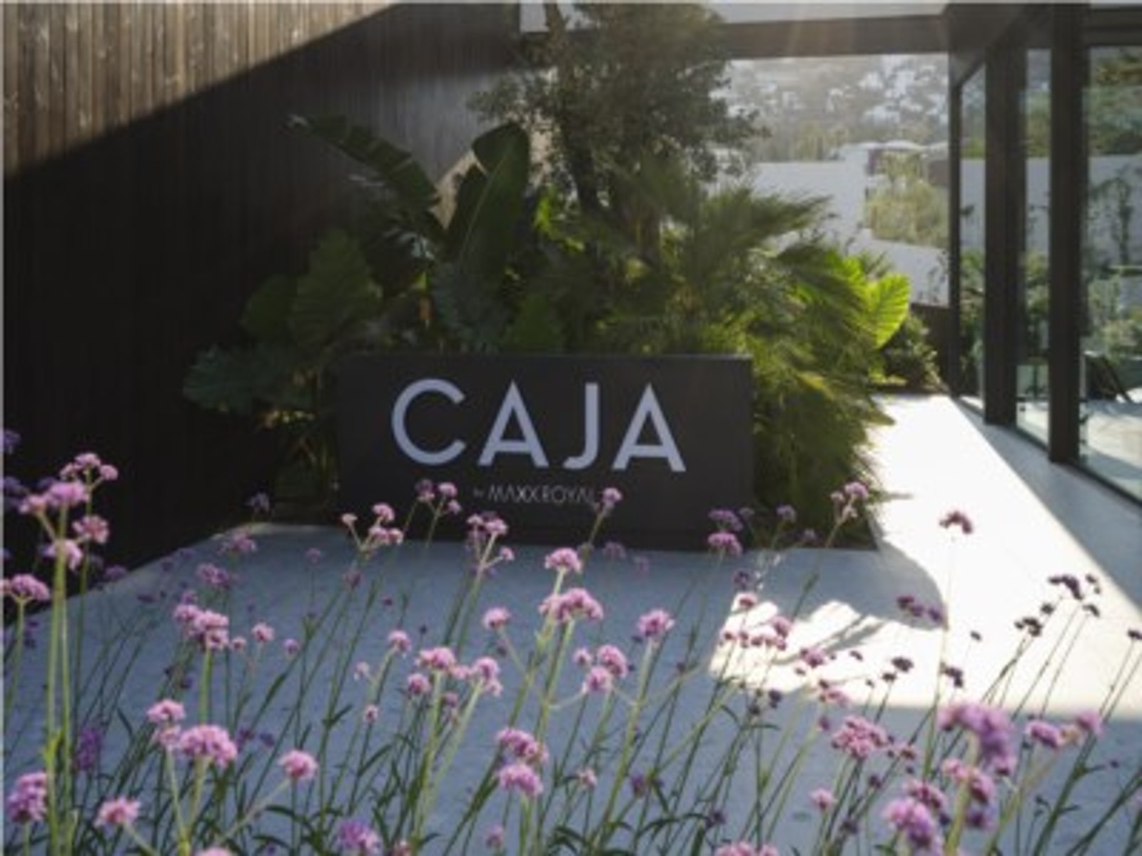 CAJA BY MAXX ROYAL