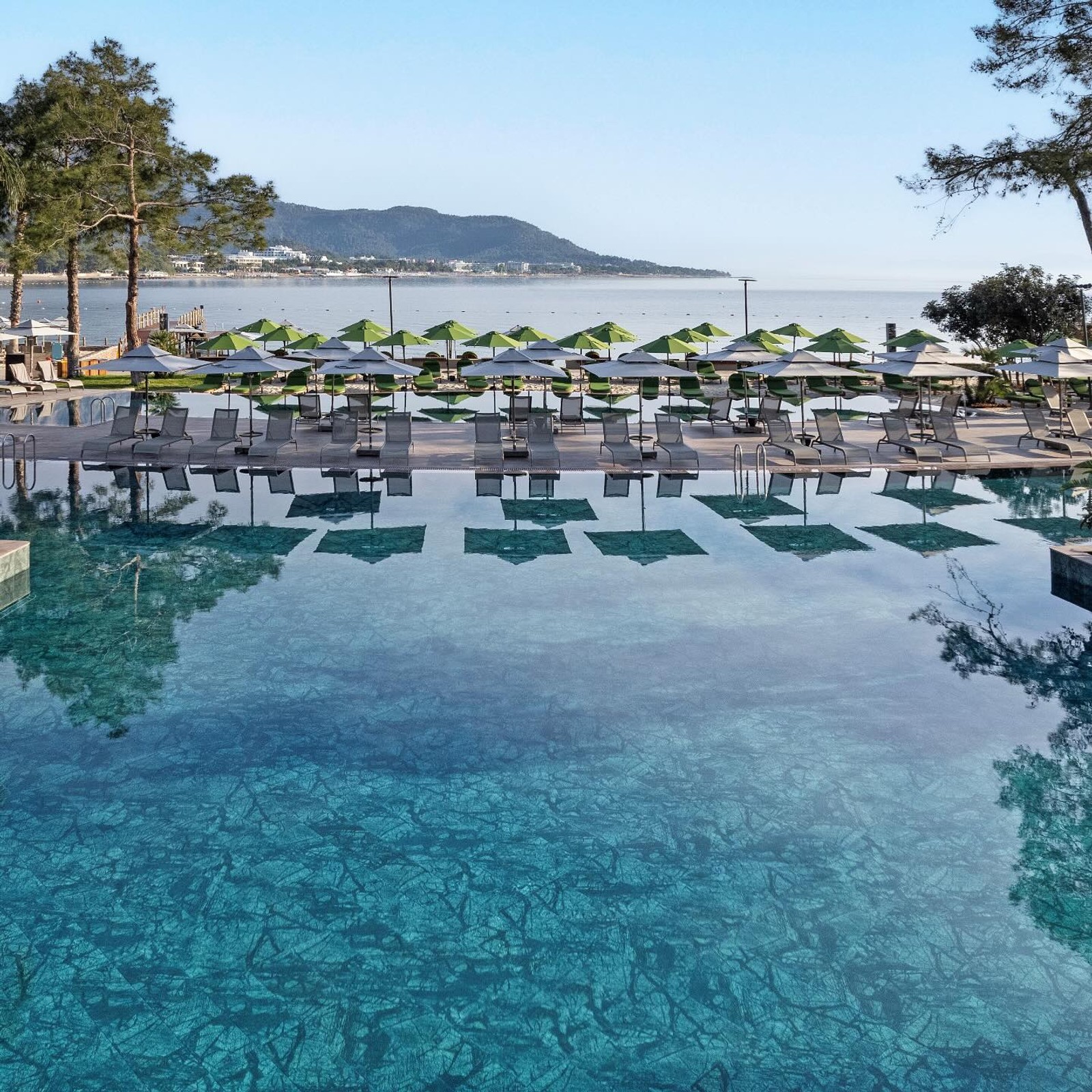 NG PHASELIS BAY