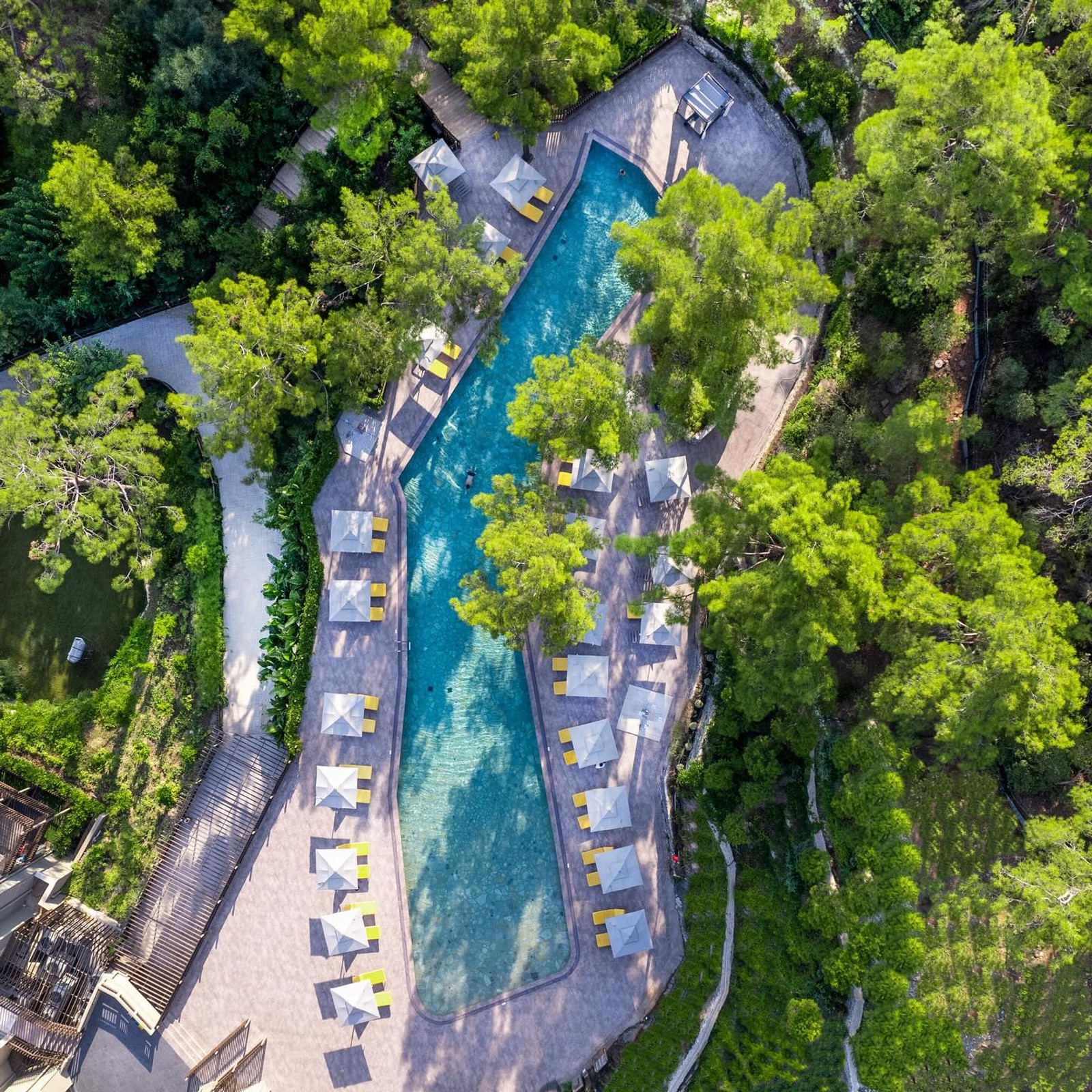 NG PHASELIS BAY
