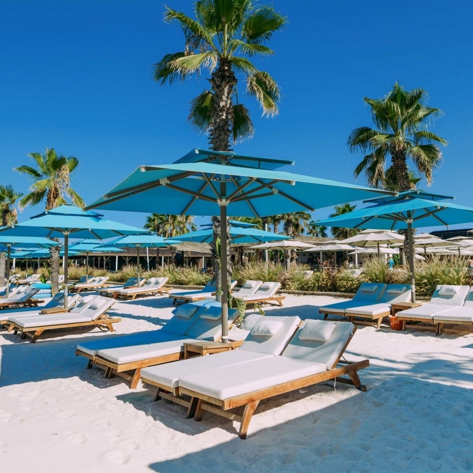 REGNUM CARYA