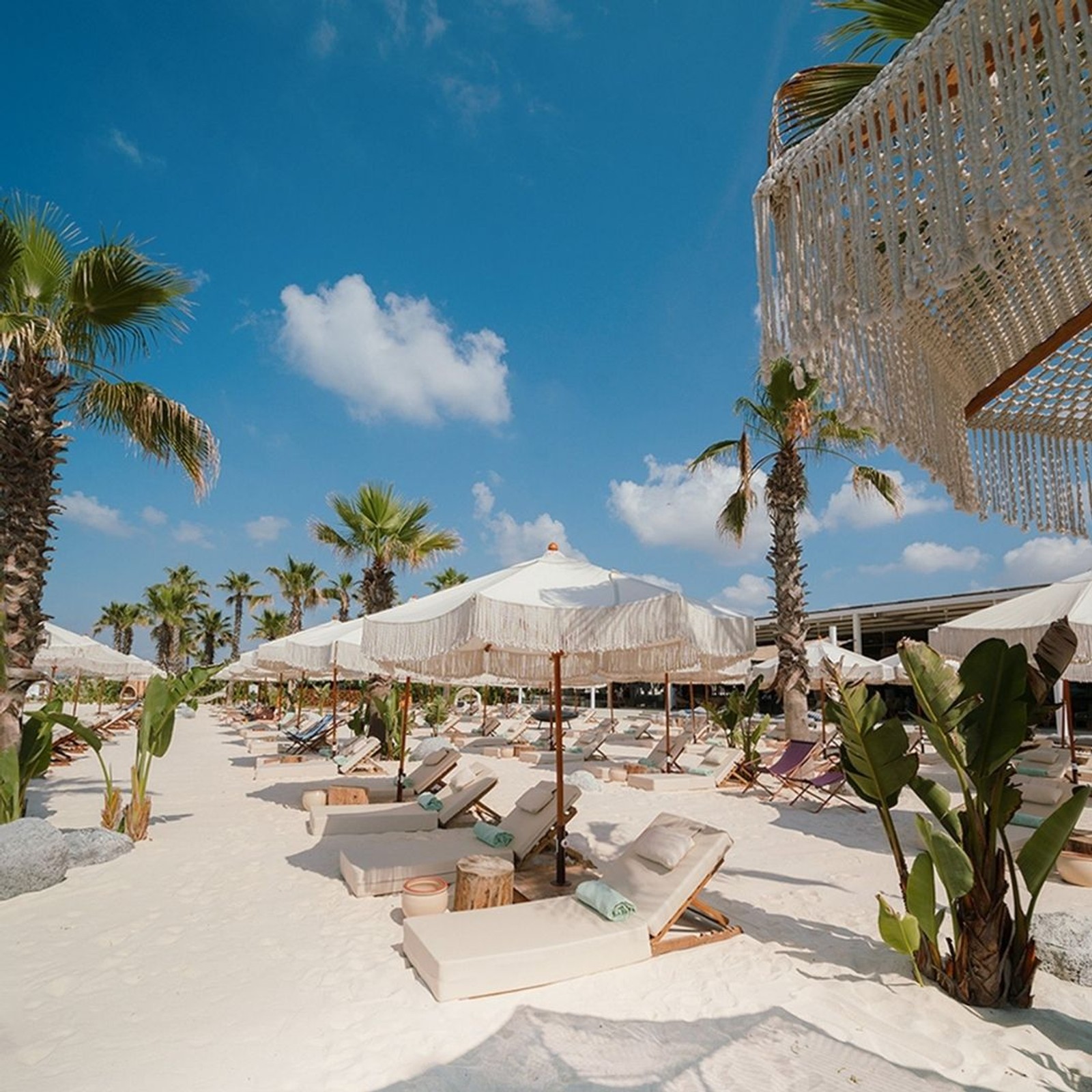 REGNUM CARYA